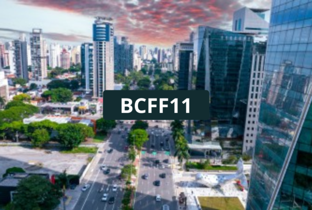 BCFF11 - BTG Fundo de Fundos dividendos e Indicadores