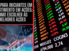 Guia para Iniciantes em Investimento em Ações: Como Escolher as Melhores Ações para Começar a Investir